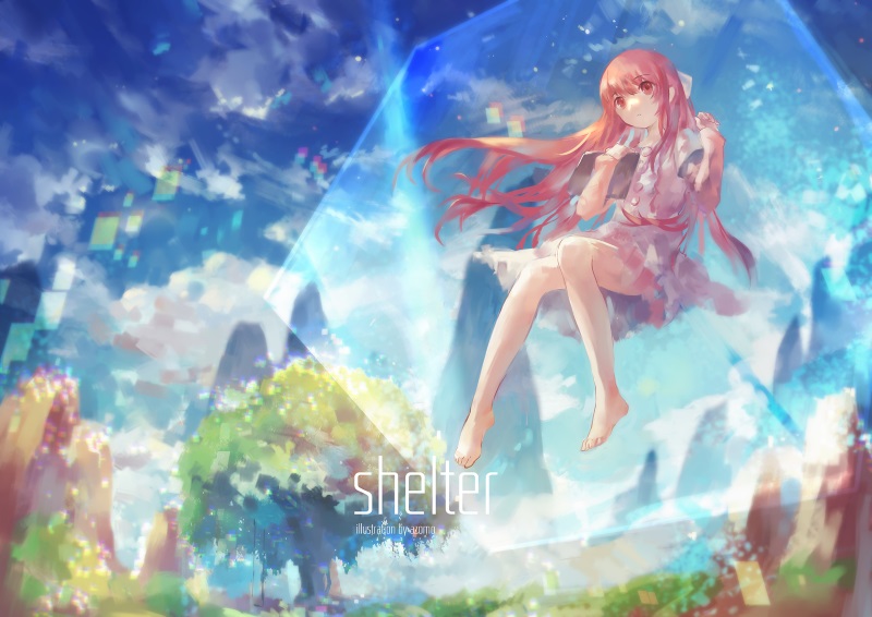 Shelter